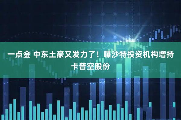 一点金 中东土豪又发力了！曝沙特投资机构增持卡普空股份