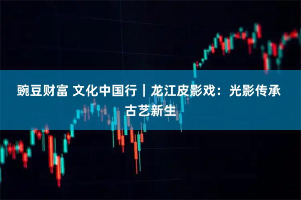 豌豆财富 文化中国行|龙江皮影戏:光影传承 古艺新生