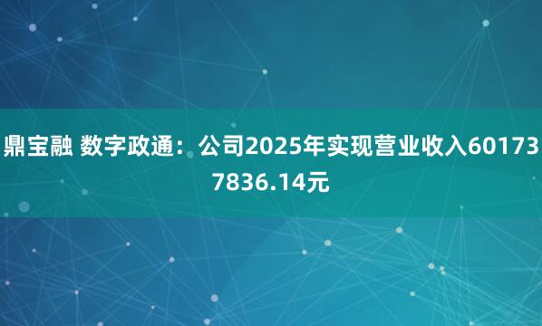 鼎宝融 数字政通：公司2025年实现营业收入601737836.14元